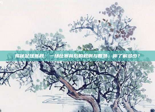 揭秘足球赛规:一场比赛背后的规则与智慧,你了解多少?