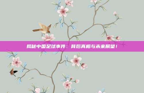 揭秘中国足球事件:背后真相与未来展望!