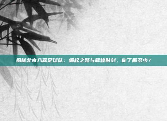 揭秘北京八喜足球队：崛起之路与辉煌时刻，你了解多少？
