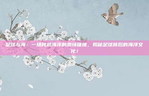 足球与海：一场跨越海洋的激情碰撞，揭秘足球背后的海洋文化！
