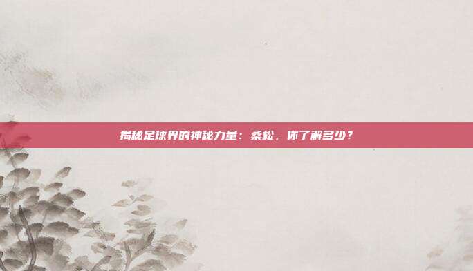 揭秘足球界的神秘力量：桑松，你了解多少？
