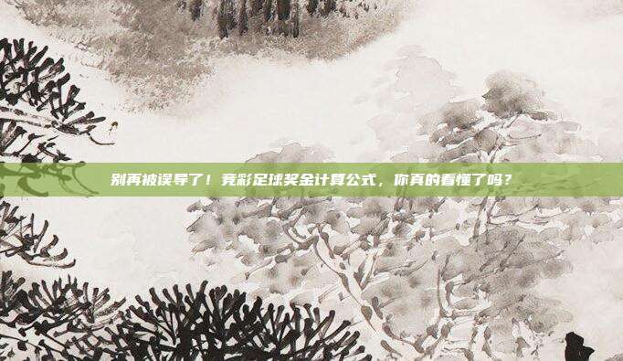 别再被误导了！竞彩足球奖金计算公式，你真的看懂了吗？