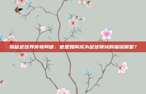 揭秘足球界传奇阿德:他是如何成为足球领域的璀璨明星?