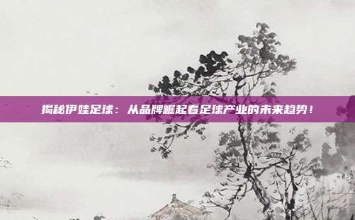 揭秘伊娃足球:从品牌崛起看足球产业的未来趋势!