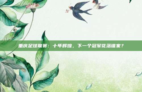 重庆足球联赛：十年辉煌，下一个冠军花落谁家？