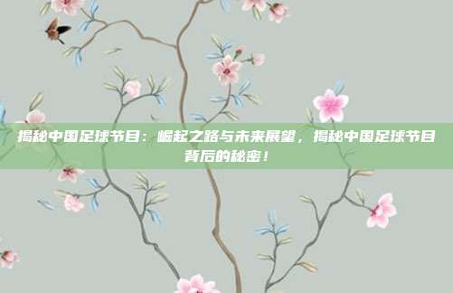 揭秘中国足球节目：崛起之路与未来展望，揭秘中国足球节目背后的秘密！
