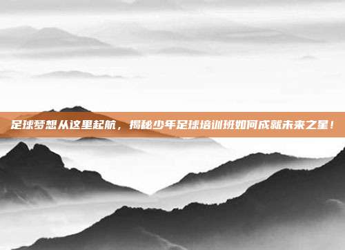 足球梦想从这里起航，揭秘少年足球培训班如何成就未来之星！