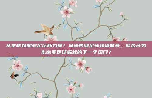 从草根到亚洲足坛新力量！马来西亚足球超级联赛，能否成为东南亚足球崛起的下一个风口？