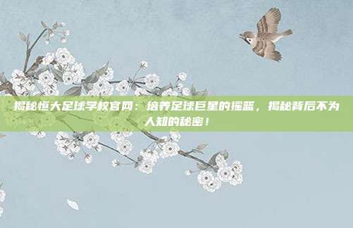揭秘恒大足球学校官网：培养足球巨星的摇篮，揭秘背后不为人知的秘密！