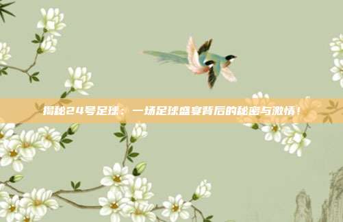 揭秘24号足球：一场足球盛宴背后的秘密与激情！