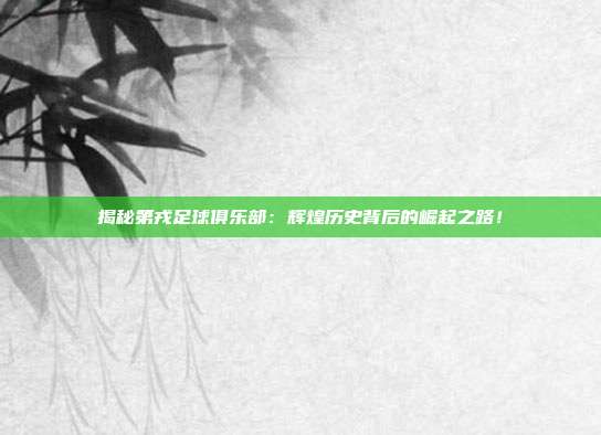 揭秘第戎足球俱乐部:辉煌历史背后的崛起之路!