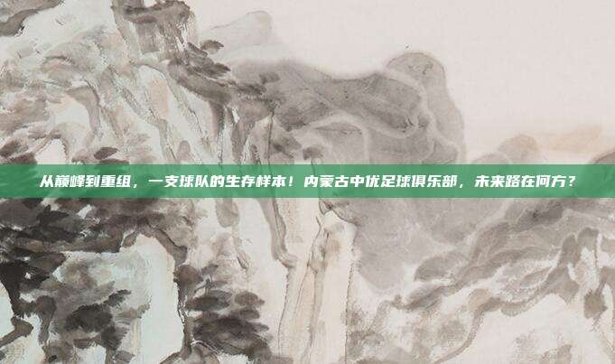 从巅峰到重组，一支球队的生存样本！内蒙古中优足球俱乐部，未来路在何方？