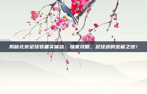 揭秘北京足球装备实体店：独家攻略，足球迷的宝藏之地！