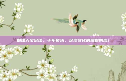 揭秘大宝足球:十年传承,足球文化的璀璨明珠!