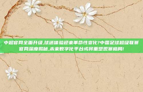 中超官网全面升级,球迷体验迎来革命性变化?中国足球超级联赛官网深度揭秘,未来数字化平台或将重塑观赛格局!