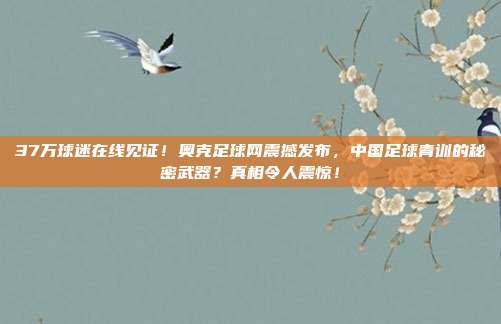 37万球迷在线见证！奥克足球网震撼发布，中国足球青训的秘密武器？真相令人震惊！