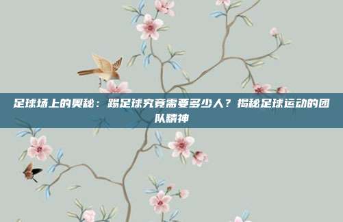 足球场上的奥秘：踢足球究竟需要多少人？揭秘足球运动的团队精神