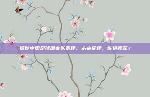 揭秘中国足球国家队赛程：未来征程，谁将领军？