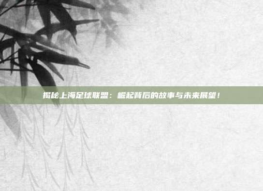 揭秘上海足球联盟：崛起背后的故事与未来展望！