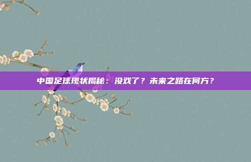 中国足球现状揭秘：没戏了？未来之路在何方？