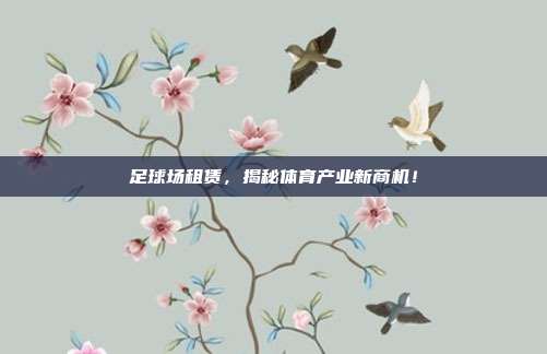 足球场租赁，揭秘体育产业新商机！