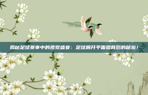 揭秘足球赛事中的视觉盛宴：足球展开平面图背后的秘密！