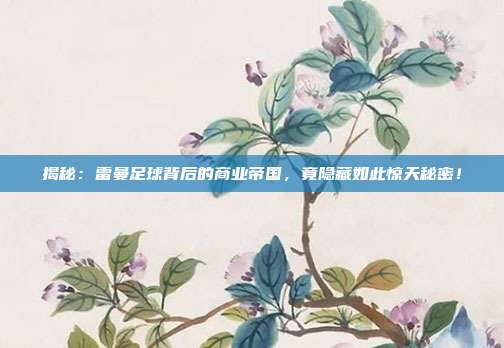揭秘:雷曼足球背后的商业帝国,竟隐藏如此惊天秘密!