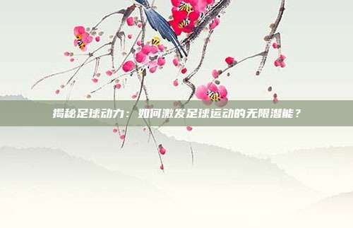 揭秘足球动力:如何激发足球运动的无限潜能?