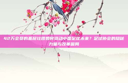 42万会员的基层社团如何撬动中国足球未来？足球协会的隐秘力量与改革困局