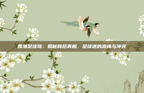 香港足球骂:揭秘背后真相,足球迷的激情与冲突