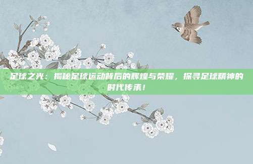 足球之光：揭秘足球运动背后的辉煌与荣耀，探寻足球精神的时代传承！