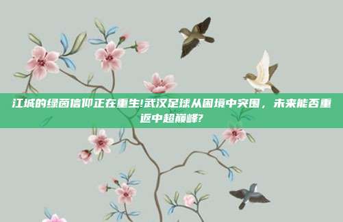 江城的绿茵信仰正在重生!武汉足球从困境中突围，未来能否重返中超巅峰?