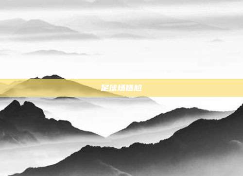 足球场尴尬