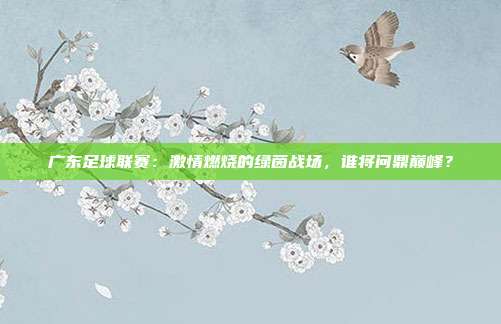 广东足球联赛：激情燃烧的绿茵战场，谁将问鼎巅峰？