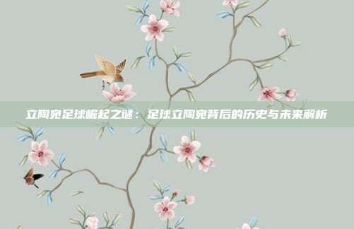 立陶宛足球崛起之谜：足球立陶宛背后的历史与未来解析