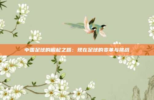 中国足球的崛起之路：现在足球的变革与挑战