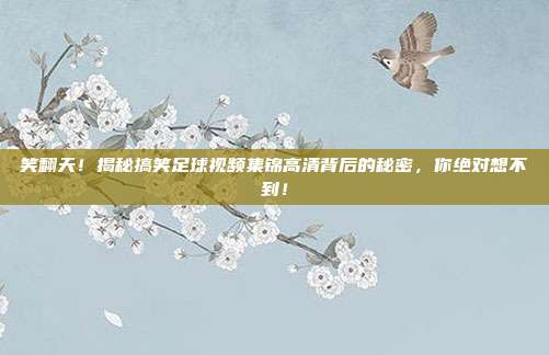 笑翻天！揭秘搞笑足球视频集锦高清背后的秘密，你绝对想不到！