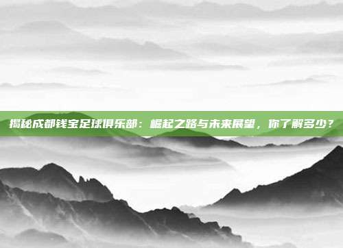 揭秘成都钱宝足球俱乐部：崛起之路与未来展望，你了解多少？