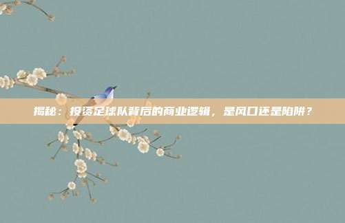 揭秘：投资足球队背后的商业逻辑，是风口还是陷阱？