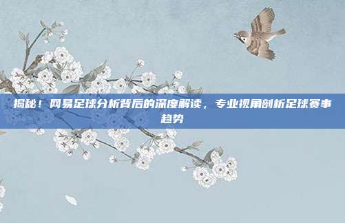 揭秘!网易足球分析背后的深度解读,专业视角剖析足球赛事趋势