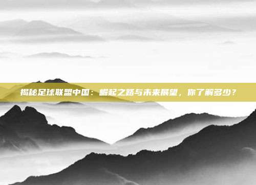 揭秘足球联盟中国:崛起之路与未来展望,你了解多少?