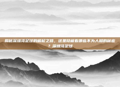 揭秘深圳湾足球的崛起之路,这里隐藏着哪些不为人知的秘密?深圳湾足球