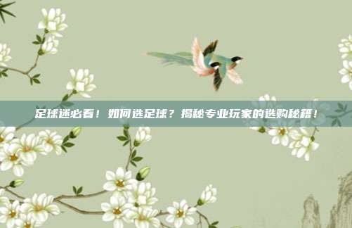 足球迷必看！如何选足球？揭秘专业玩家的选购秘籍！