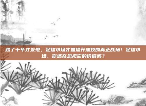 踢了十年才发现，足球小场才是提升球技的真正战场！足球小场，你还在忽视它的价值吗？