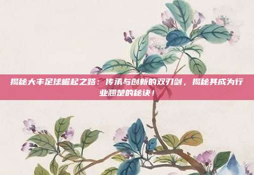 揭秘大丰足球崛起之路：传承与创新的双刃剑，揭秘其成为行业翘楚的秘诀！