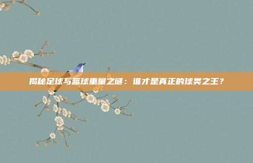 揭秘足球与篮球重量之谜:谁才是真正的球类之王?