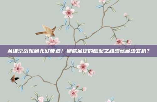 从维京战吼到北欧奇迹！挪威足球的崛起之路暗藏多少玄机？