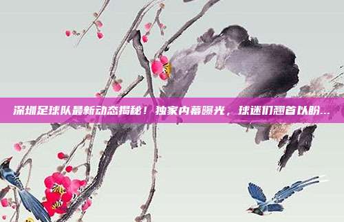 深圳足球队最新动态揭秘！独家内幕曝光，球迷们翘首以盼...
