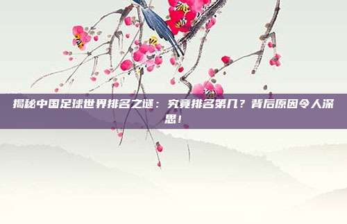 揭秘中国足球世界排名之谜：究竟排名第几？背后原因令人深思！