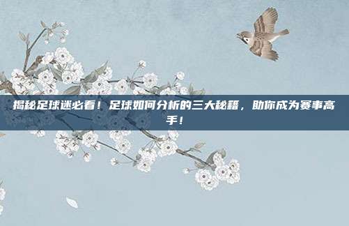 揭秘足球迷必看！足球如何分析的三大秘籍，助你成为赛事高手！
